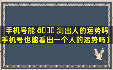 手机号能 🍀 测出人的运势吗（手机号也能看出一个人的运势吗）